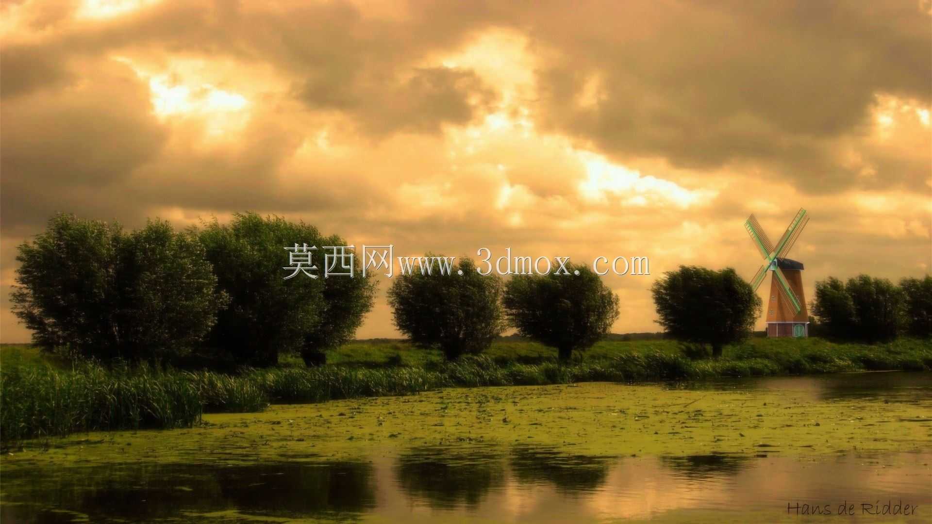 �糵��Ⱦ��11����Ⱦ������
