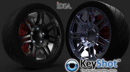 IDSA��Ⱦ��ս