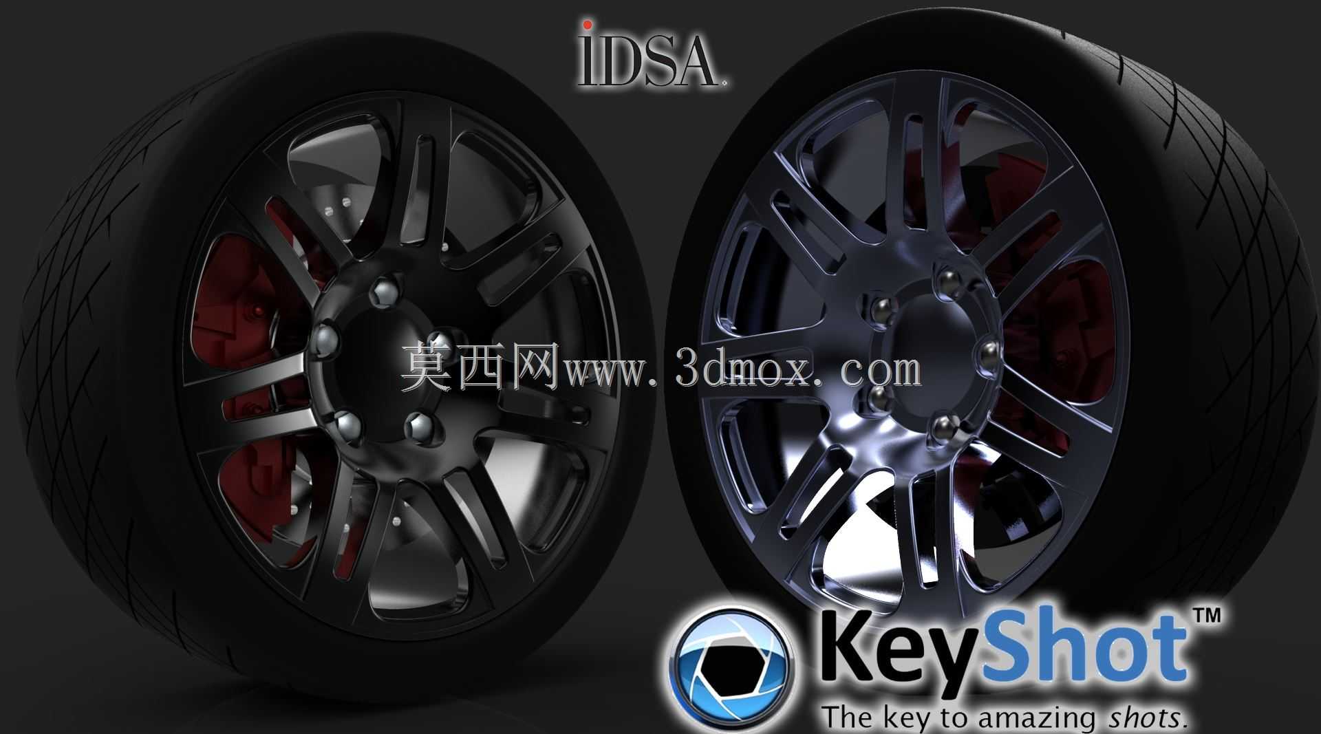 IDSA��Ⱦ��ս