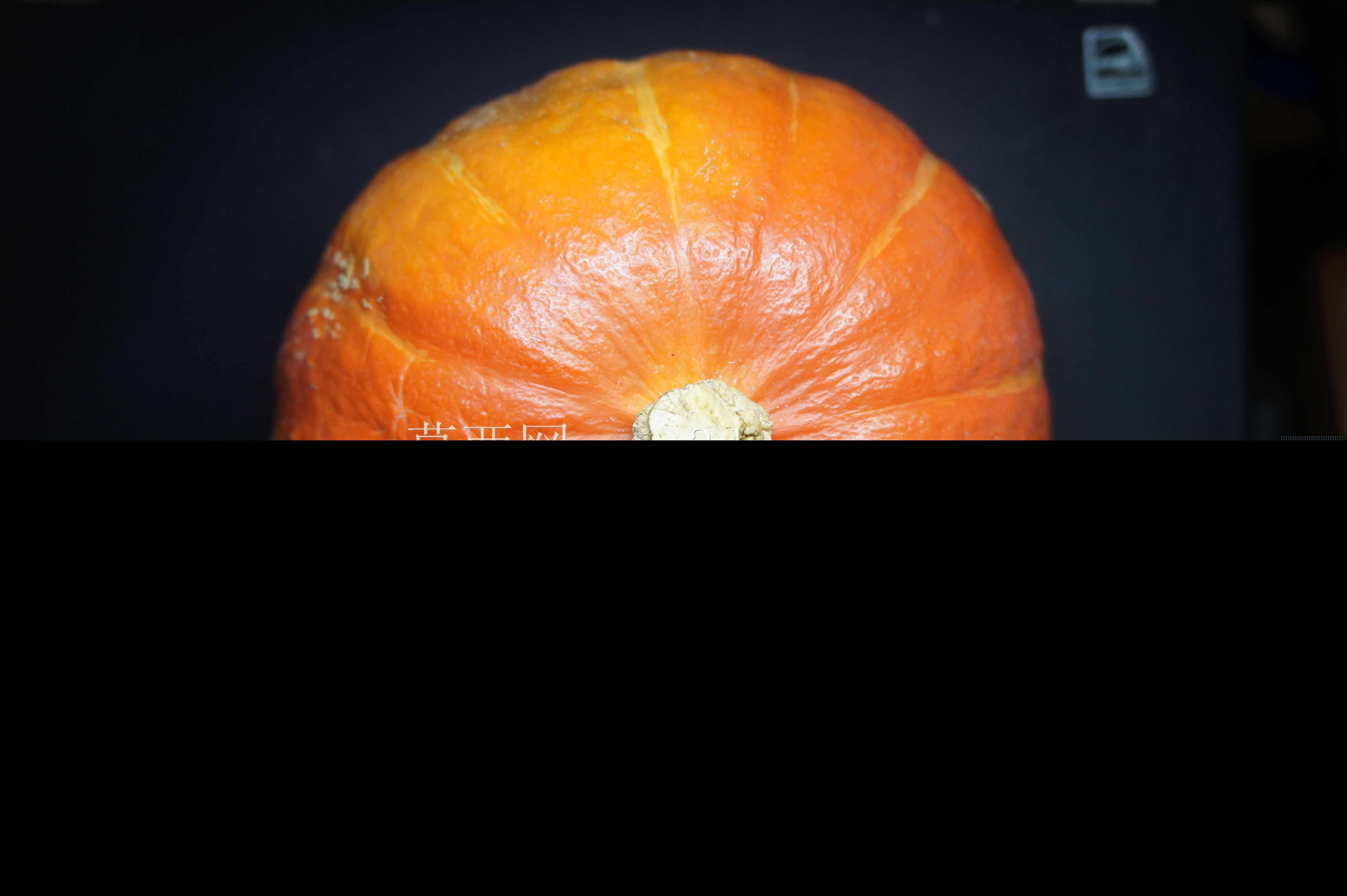 �ϹϹ�