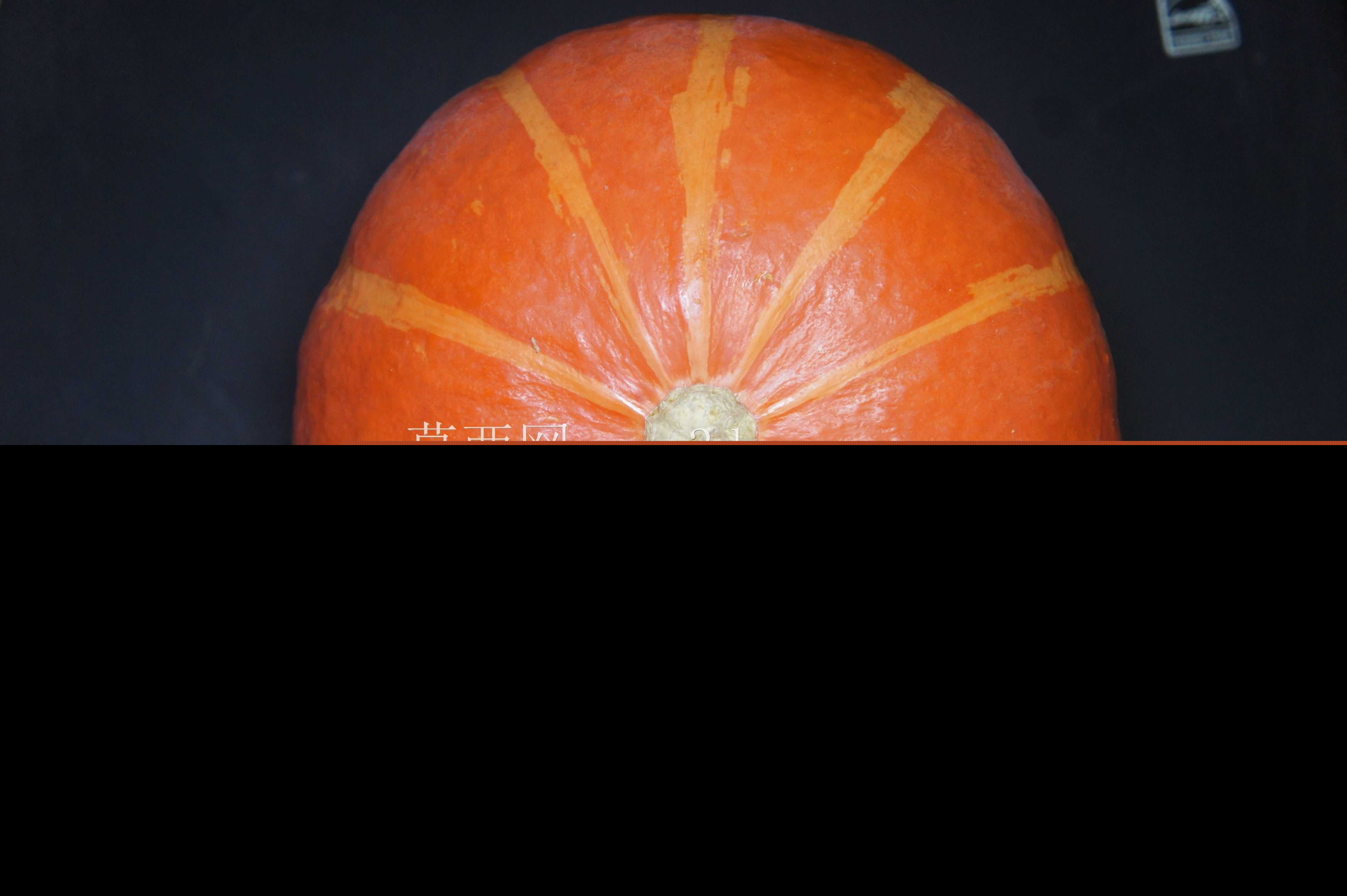 �ϹϹ�