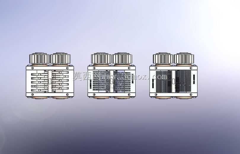 ������ֽ��ר��IIa-4
