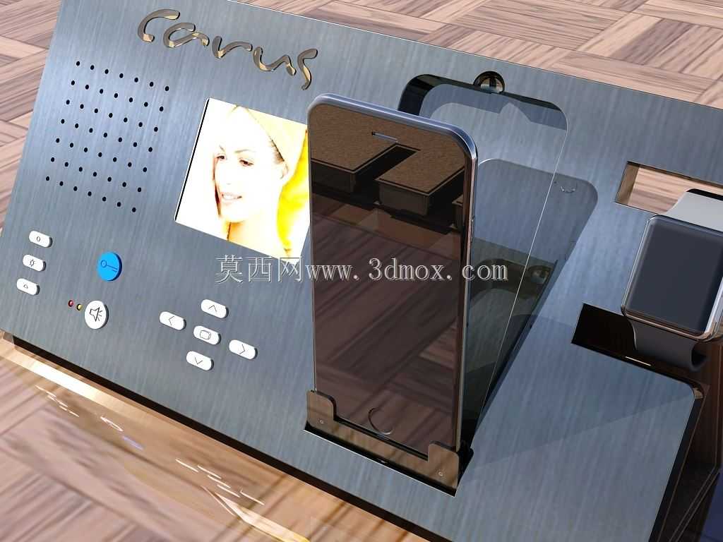 carus入口1