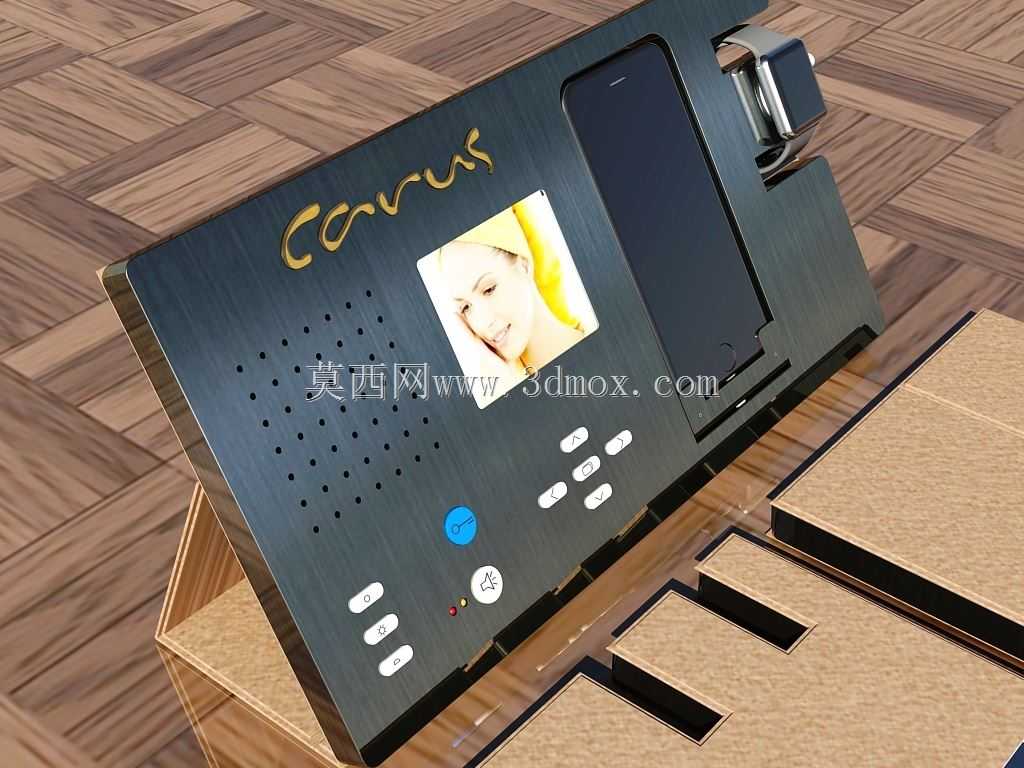 carus入口1