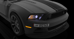 ����Ұ��Boss 302_�汾B