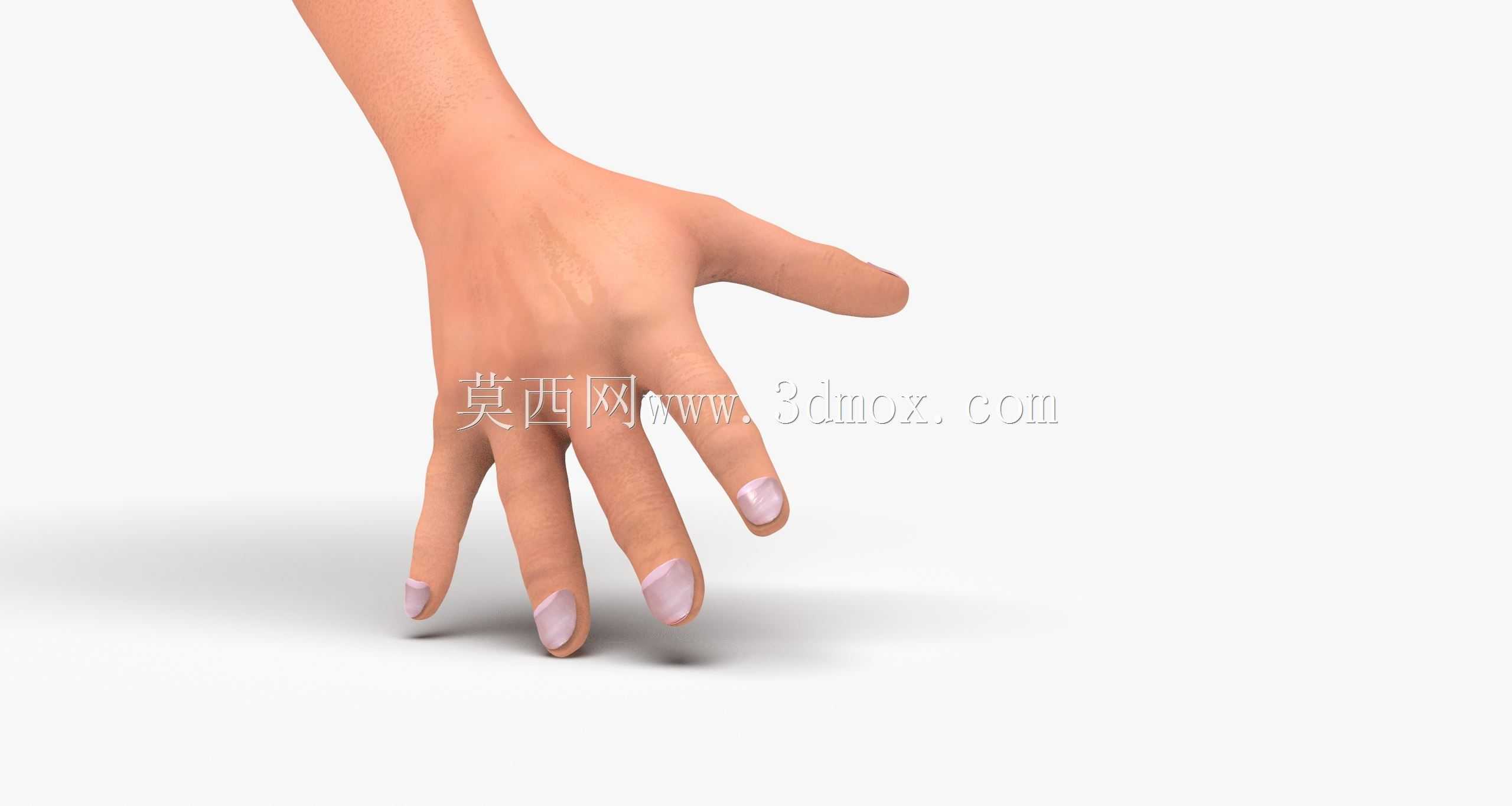 �˵��ֱۺ�ָ��