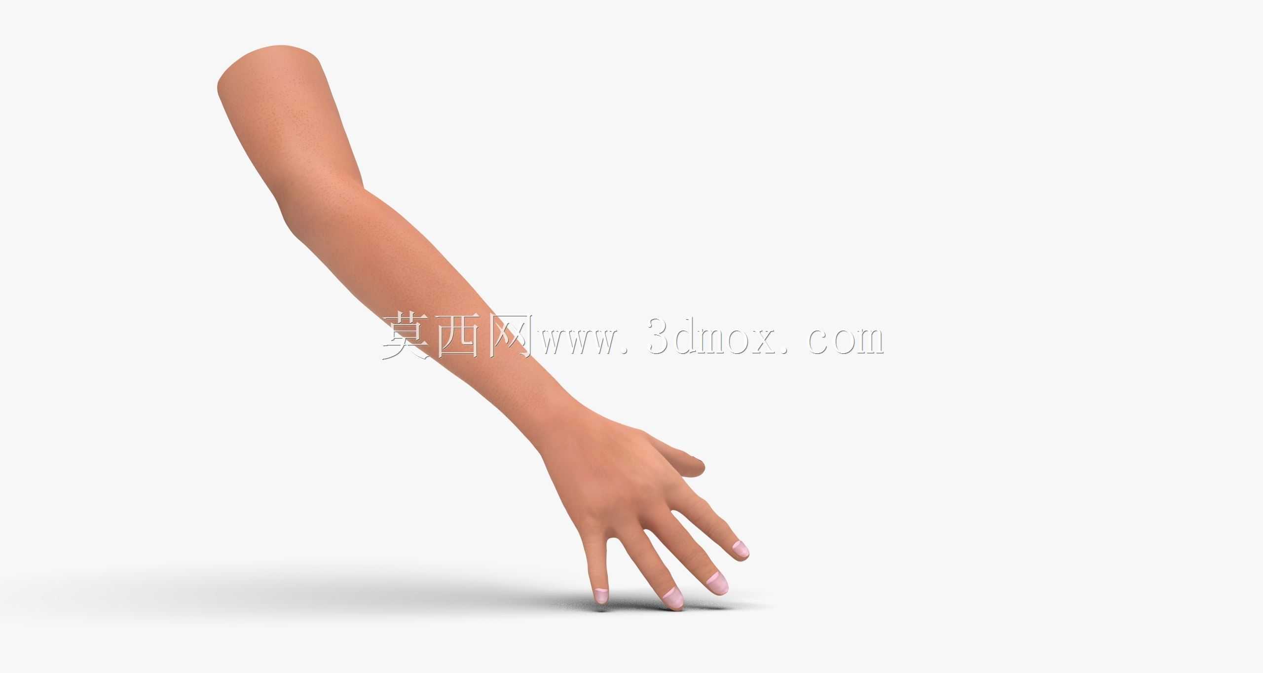 �˵��ֱۺ�ָ��