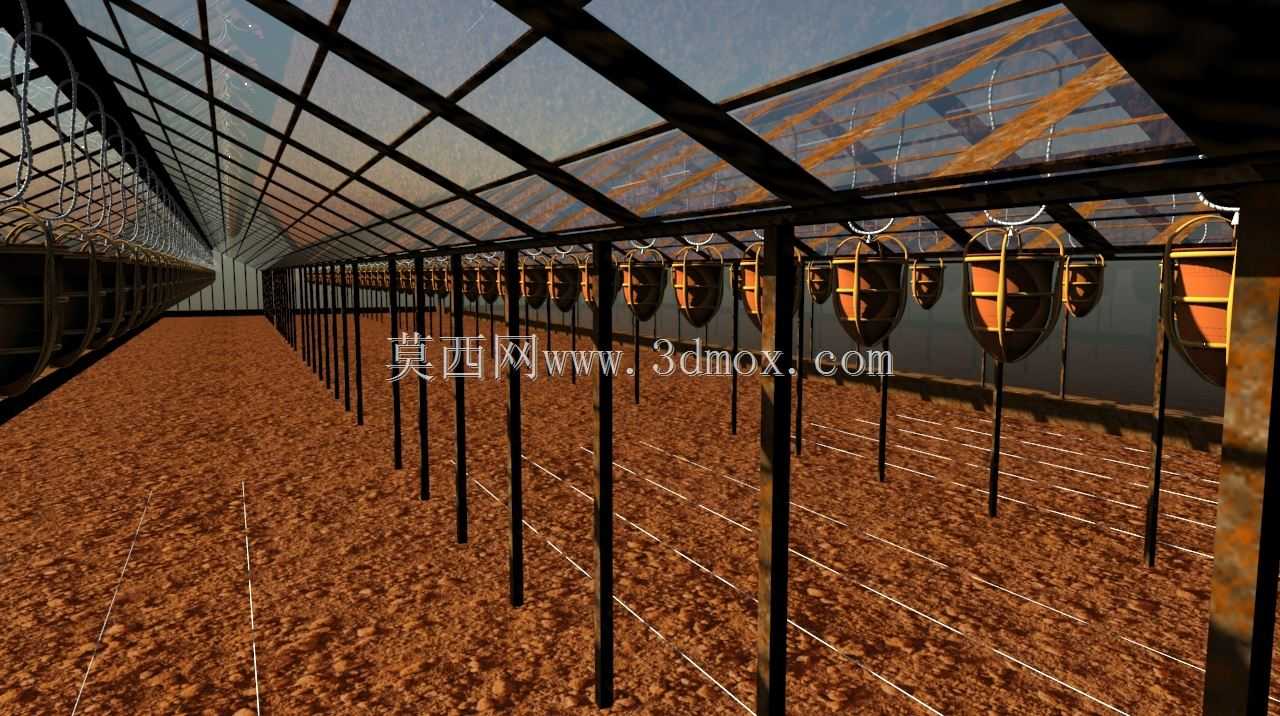 玻璃番茄温室工程