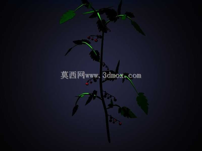 玻璃番茄温室工程