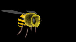 �۷�