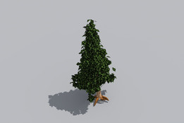 sketchup����ά��