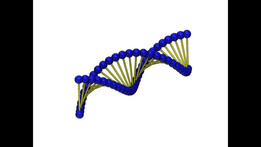 DNA��