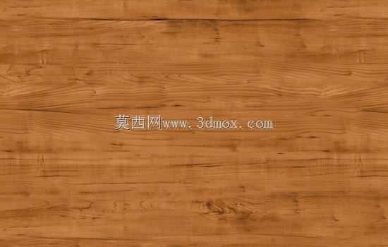 场景模型