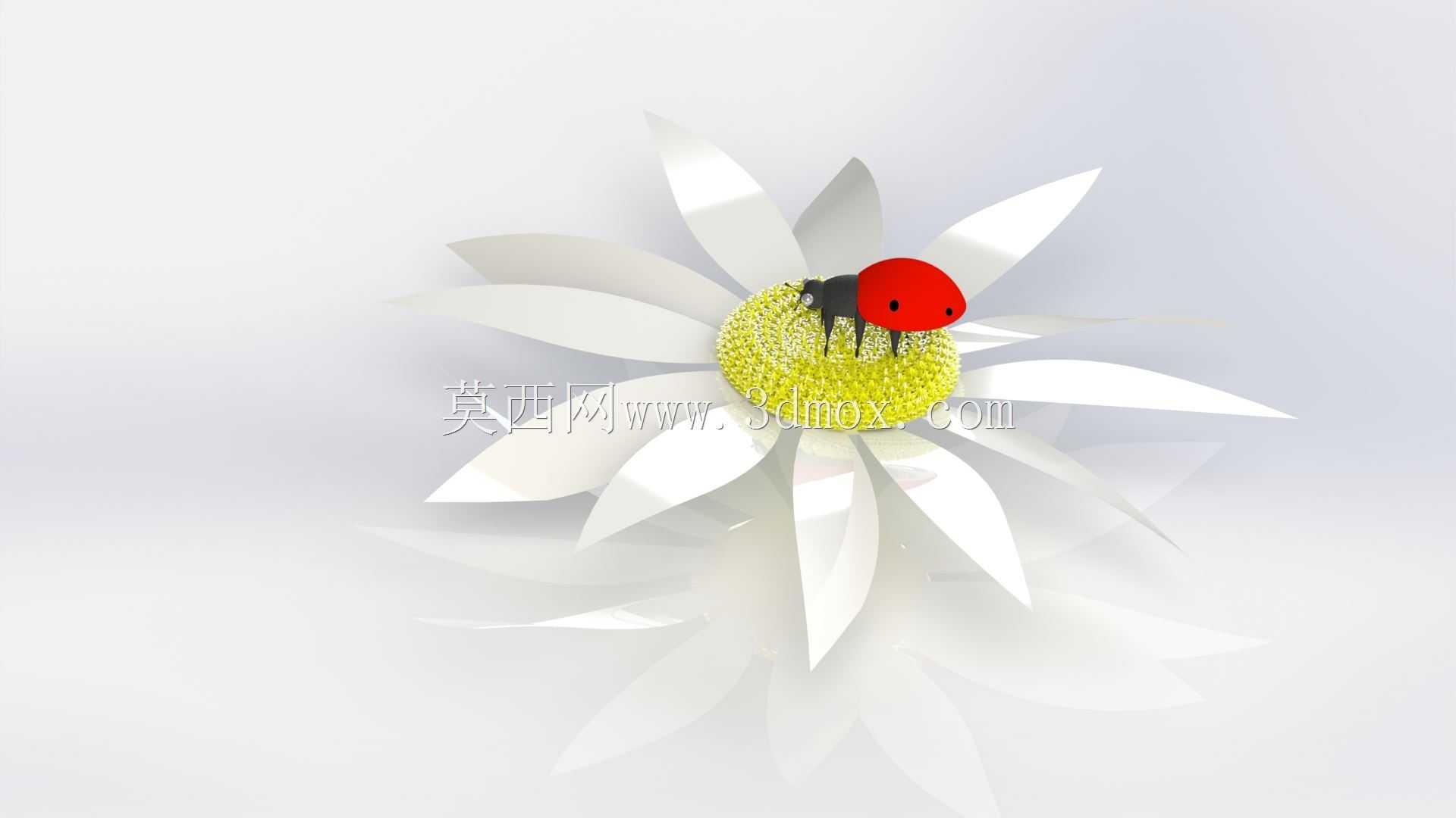ư��