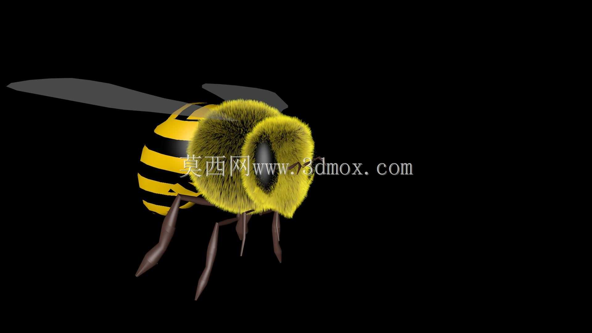 �۷�