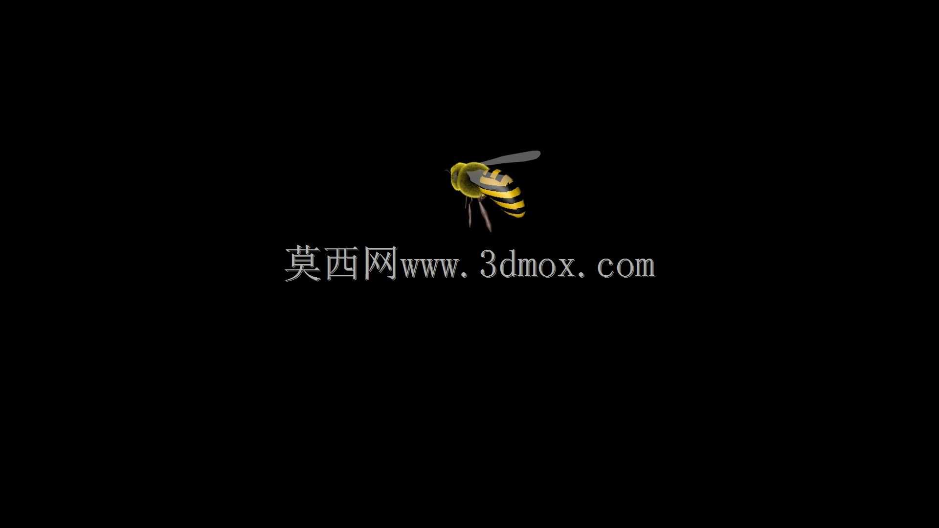 �۷�