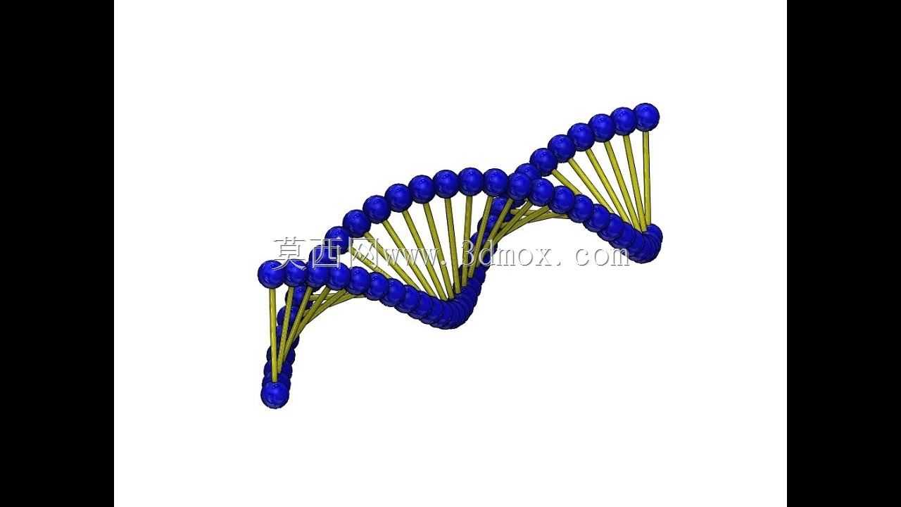 DNA��