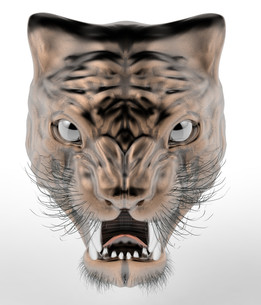�ҵ�3d�ϻ�ģ����Ceng