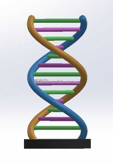 DNA֧��