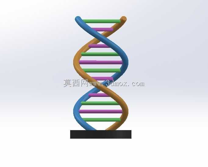 DNA֧��