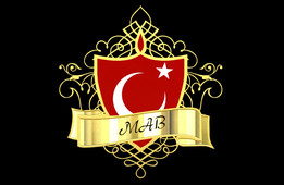 MAB��־