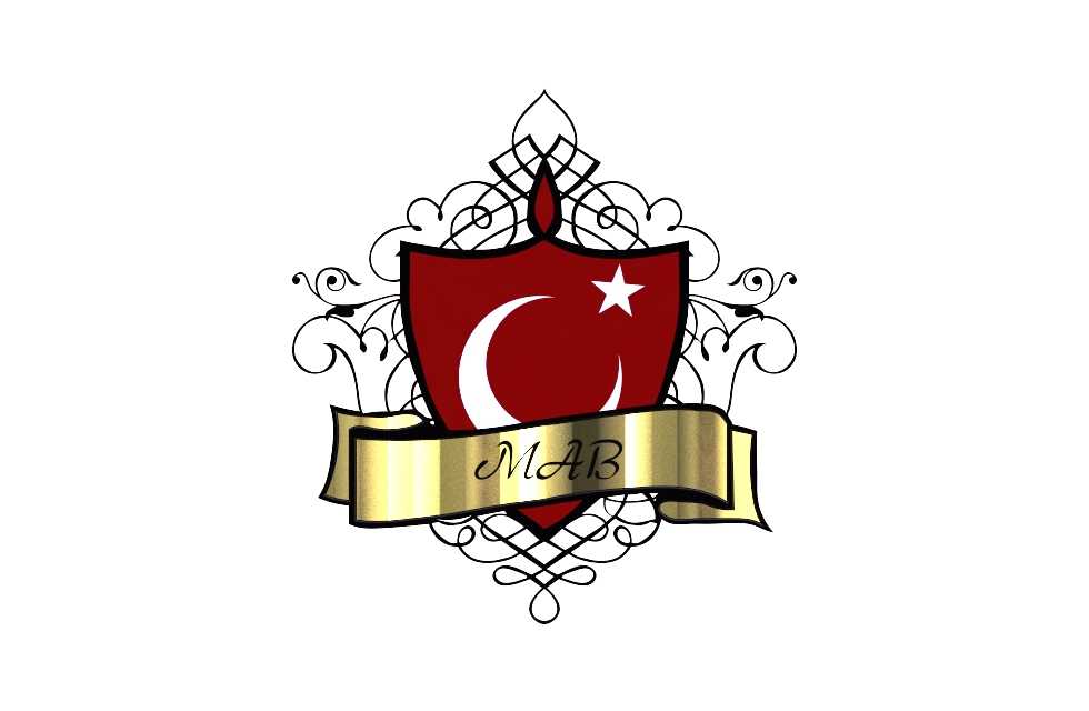 MAB��־