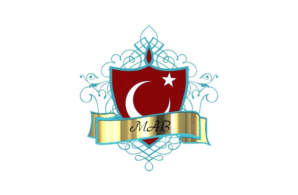MAB��־