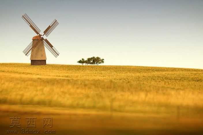 11�³��־���
