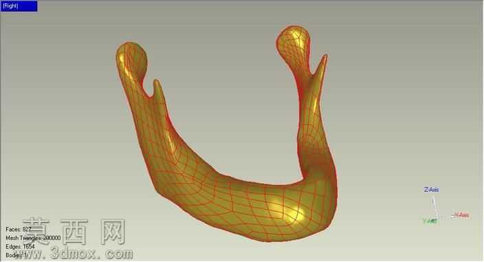 Jaw_3D_Model
