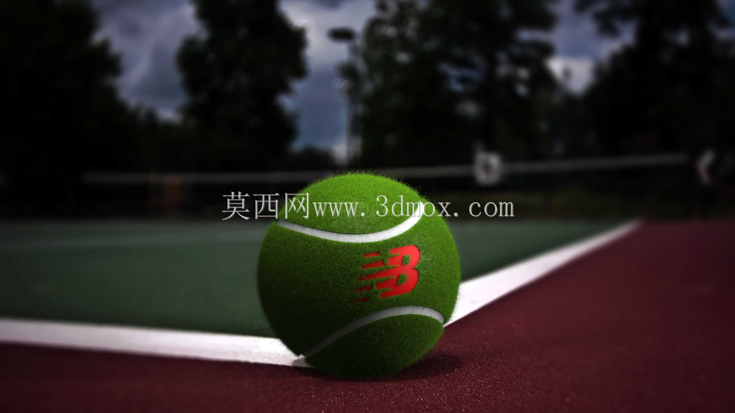 ������Ⱦ�о�