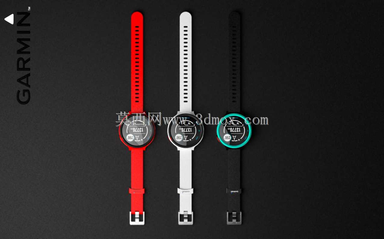 �����ֱ�Garmin