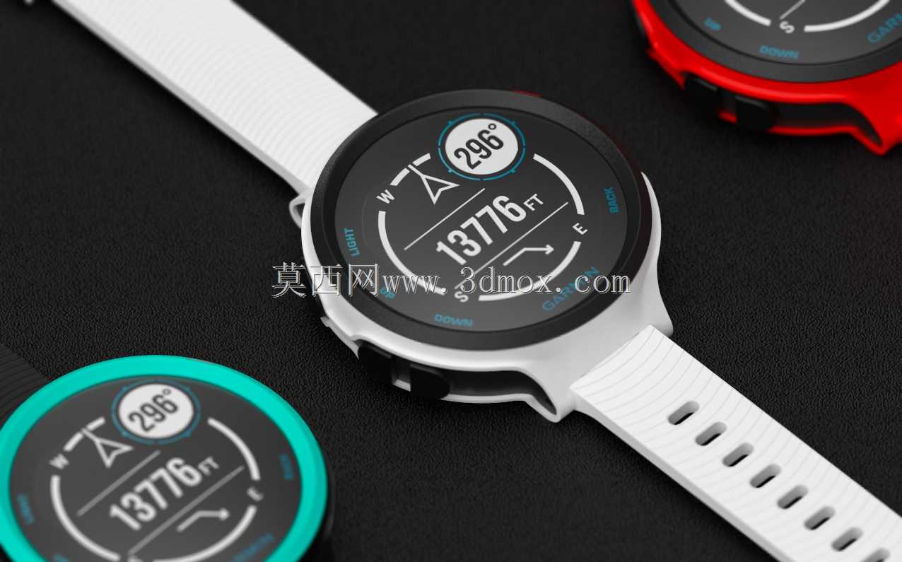 �����ֱ�Garmin