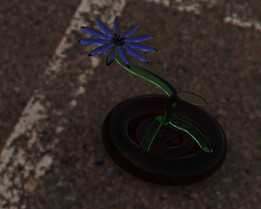 给朋友的花