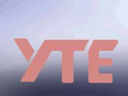 YTE��־