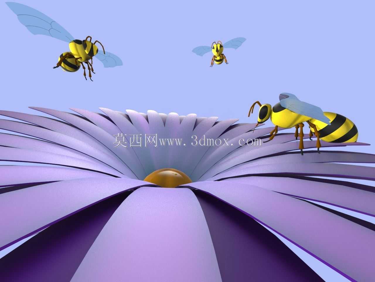 �����뻨��
