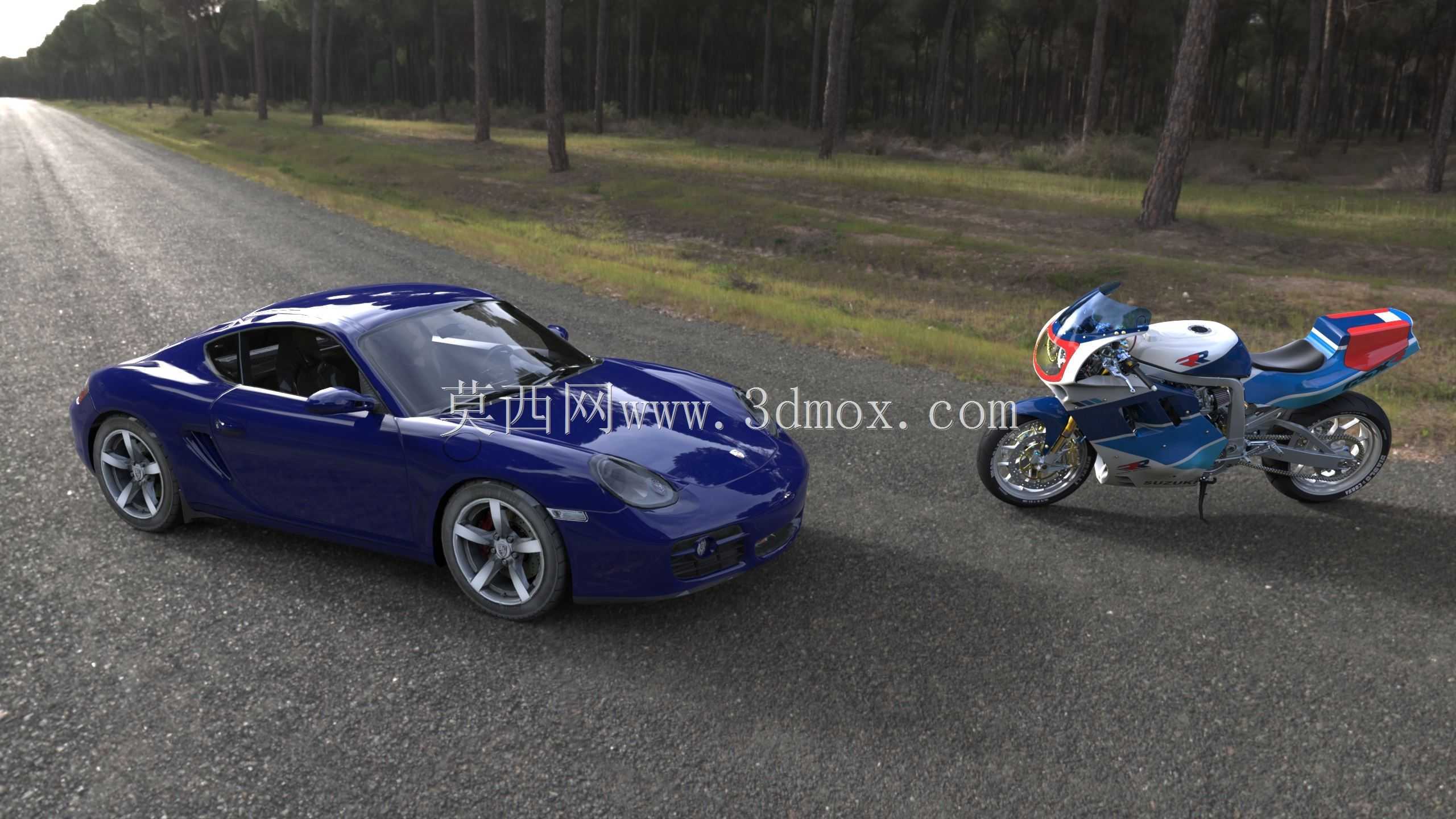 Cayman et GSXR 1100