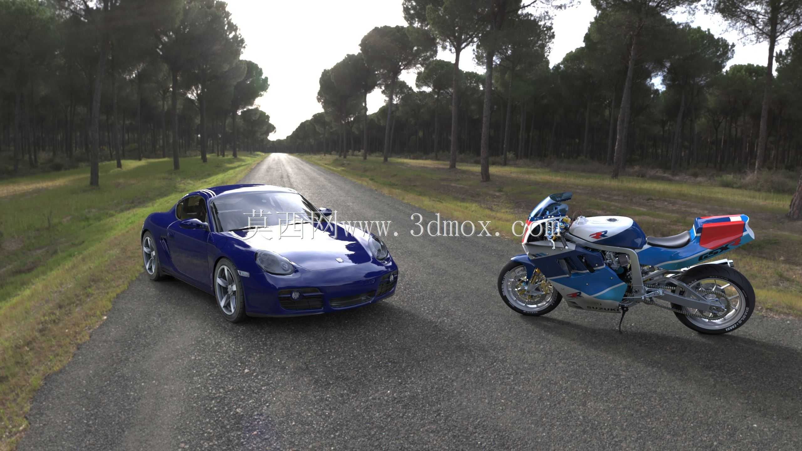 Cayman et GSXR 1100