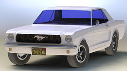 ����Ұ��1965