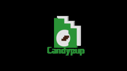 �ɿ�������־