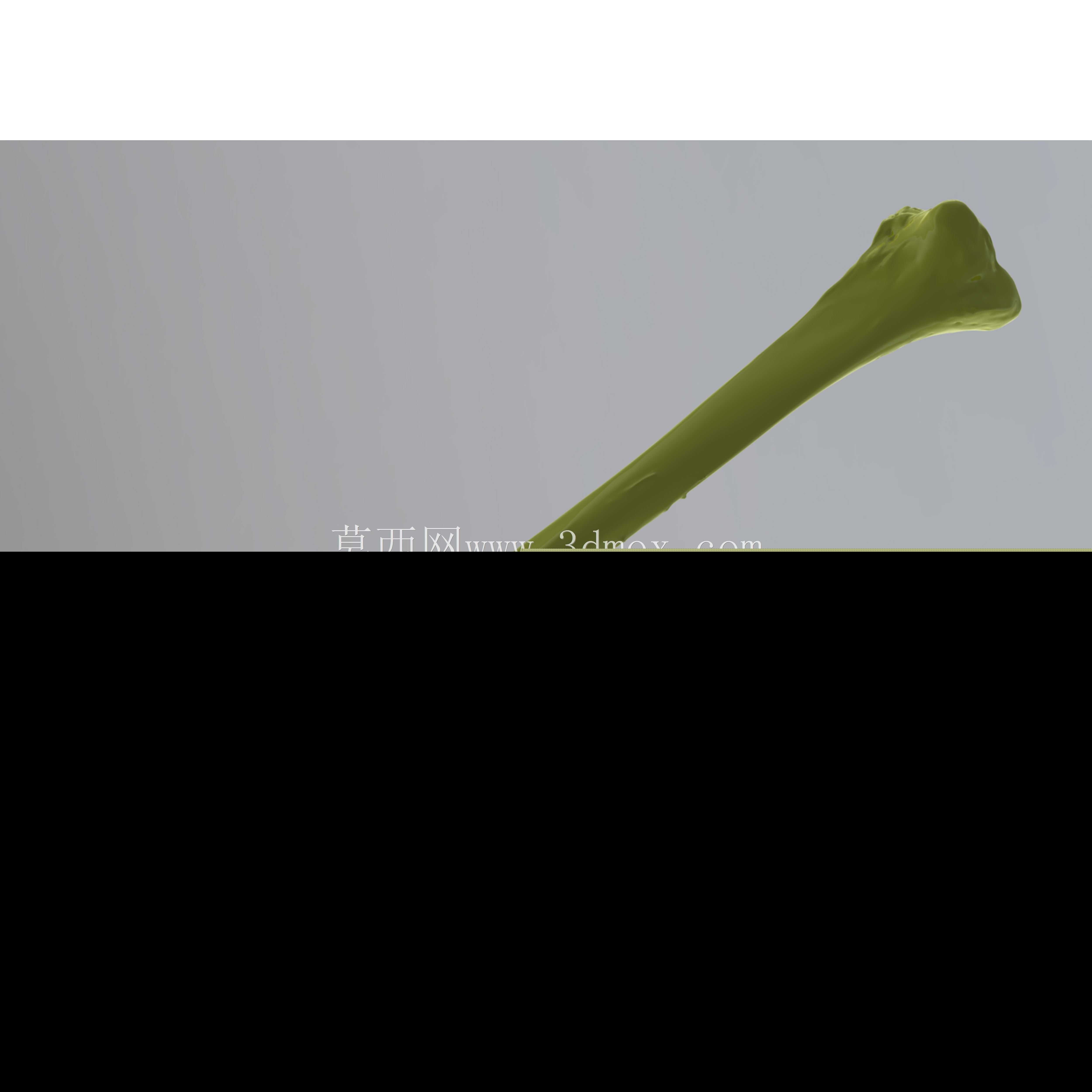 ���ֹ�