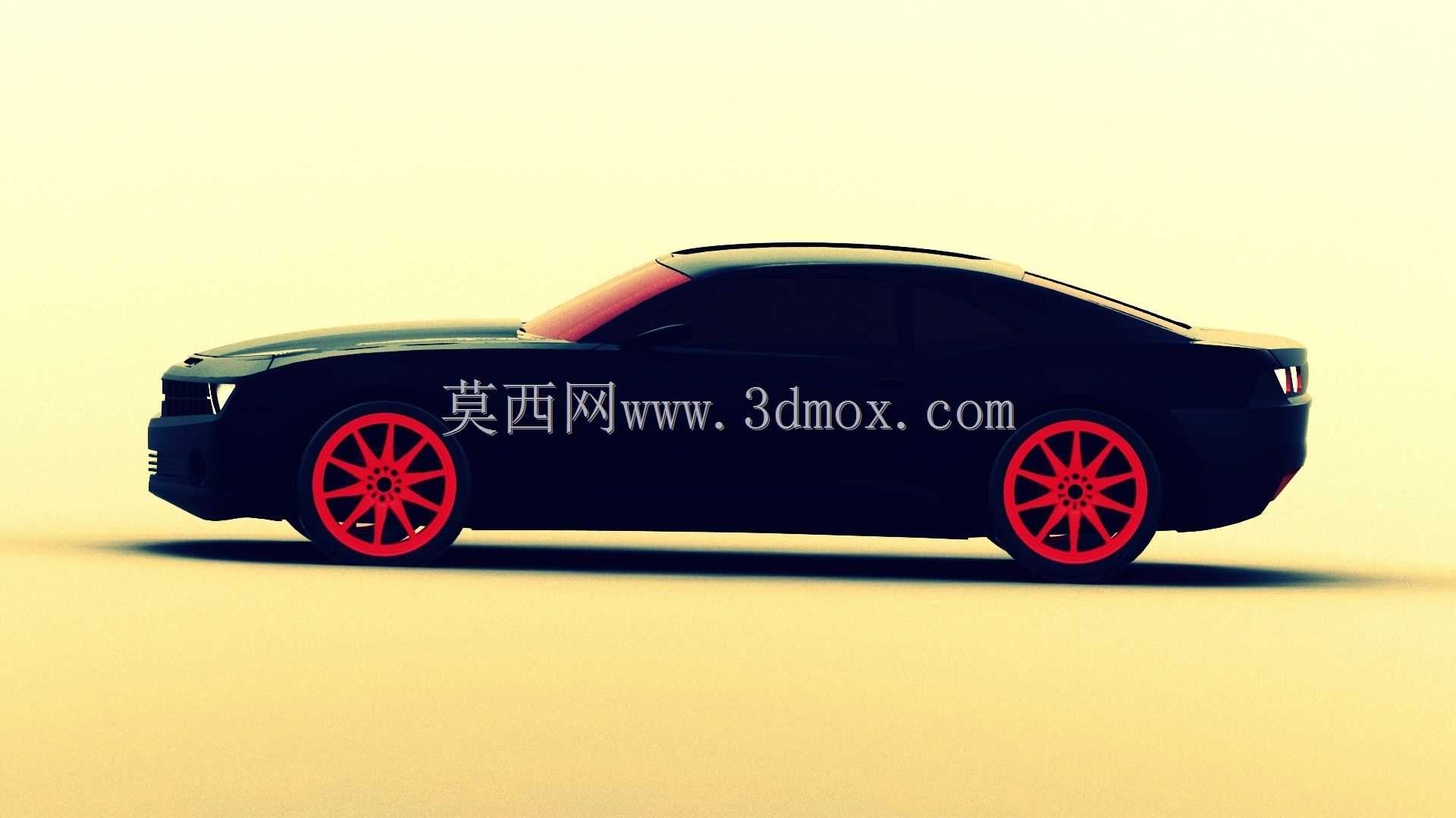 ѩ����������