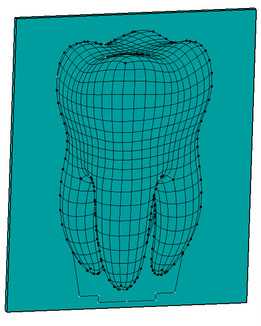 DIENTE ILUSION 3D