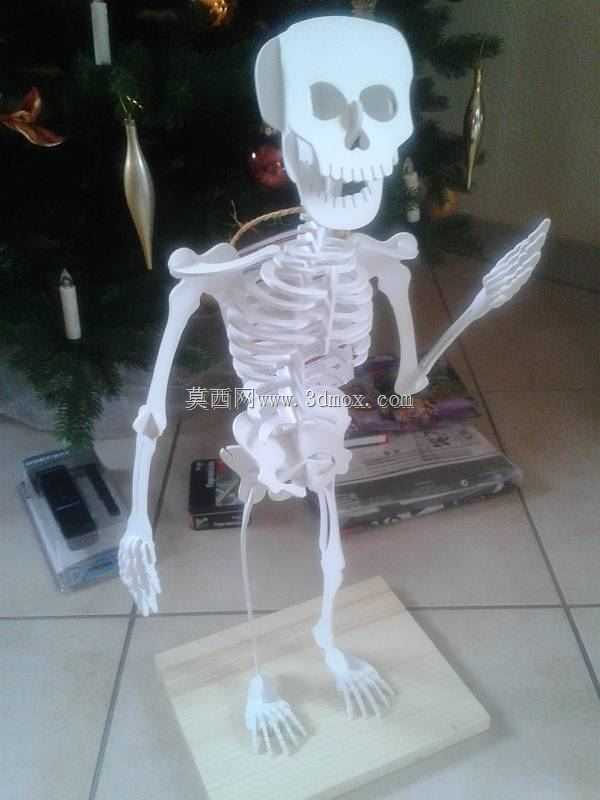 ��άSkelett