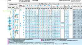 ��ʱƤ����T5 x 13T
