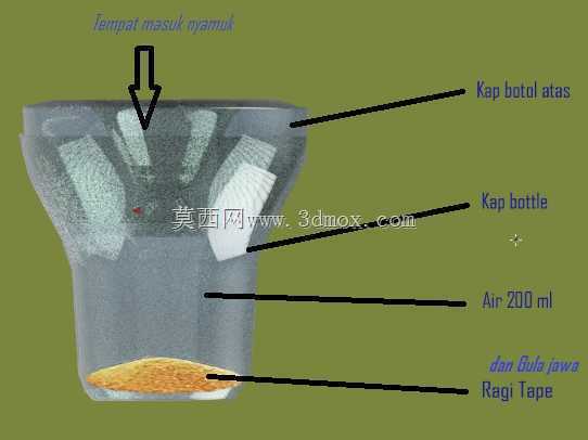 自然战斗门特斯基