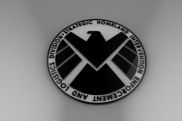 S.H.I.E.L.D����־