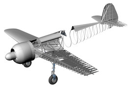 IAR 81