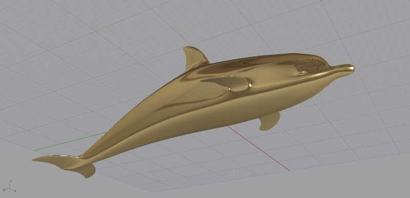 Dolphin-Tspline��ģ����Rhino v5�У�