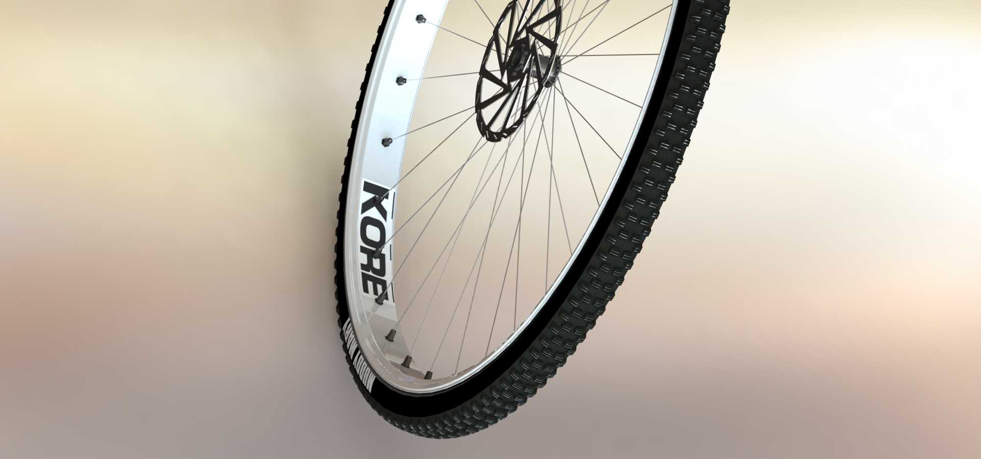 Schwalbe��̥