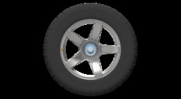 ��ʱ��Carrera Gt����